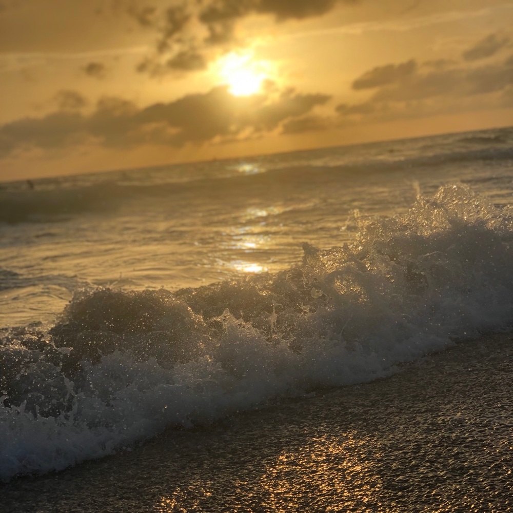 Meet your Posher, Jurate